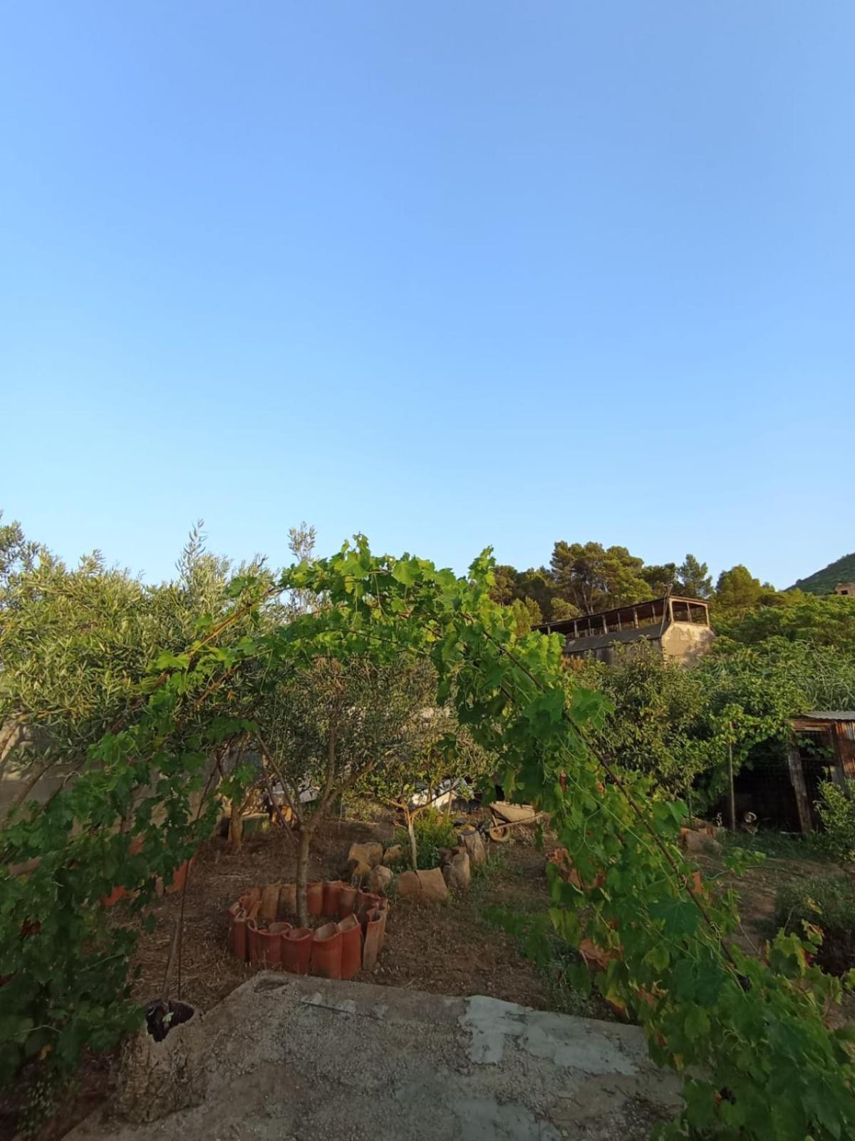 Oleandro Villa Iglesias Dış mekan fotoğraf